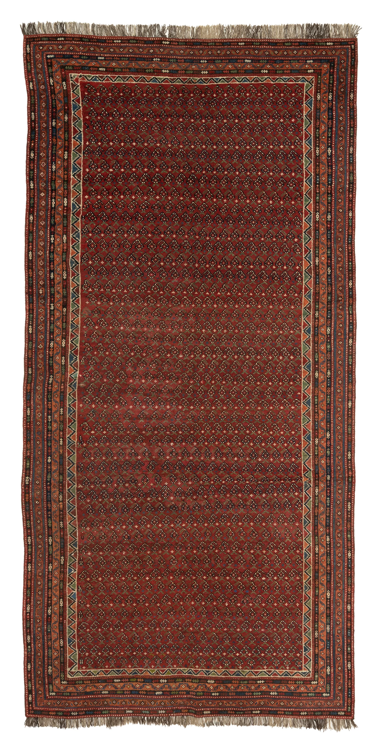 SHAMEL <br><strong>309 x 144 cm</strong> 1 7388 SHAMEL 309 x 144 cm